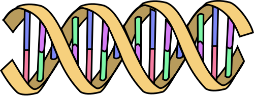 Developmental biology